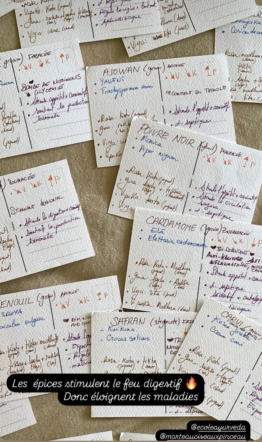 Fiches de travail documentaires et individuelles sur les épices de l'ayurveda - verso texte propriétés