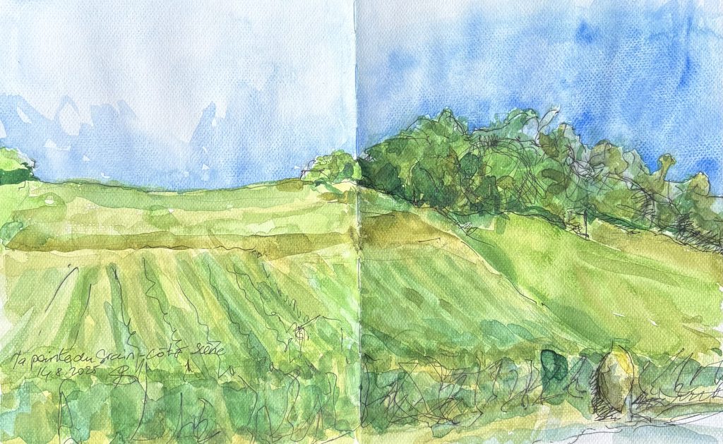 La Pointe du Grain - côté scène Vue des coteaux à Boudry sur le chemin allant à Cortaillod par une très chaude journée en Aout