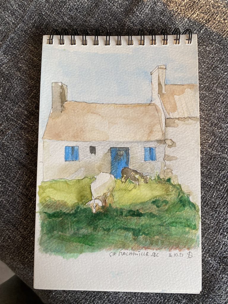 Ca mâchouille Moutons sur Ouessant Sheep grazing in front of a house on Ouessant